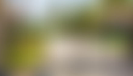 Residential estate entrance gate with modern IntelliGuard keypad access control solution installed for secure access management in Pretoria.