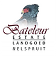 Bateleur-Logo-01-5.png
