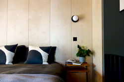 Birch Plywood Wall