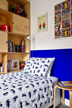 Birch Plywood Storage