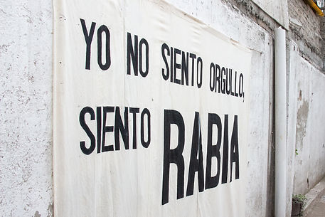 lechedevirgen (43).jpg