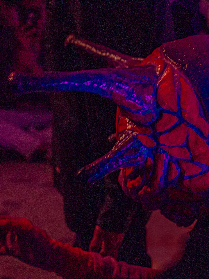 CANTOS XENOBINARIXS -061.jpg