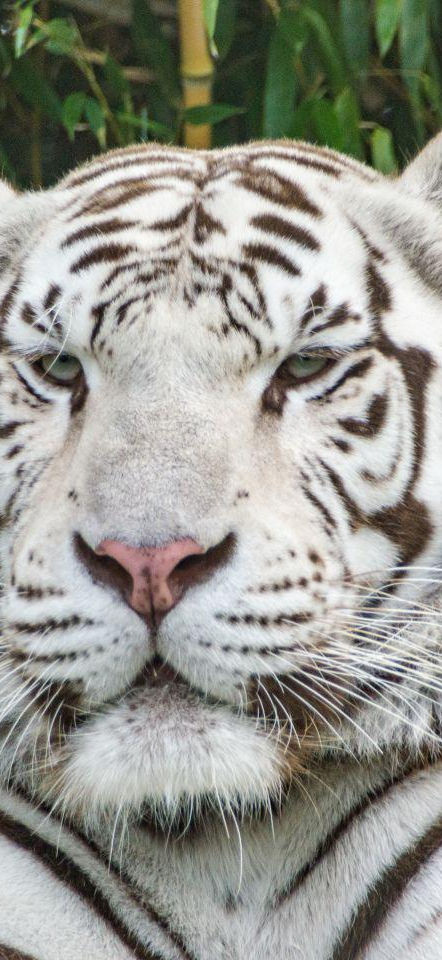 397878_10166_zoo-d-asson_zoo-d-asson.jpg