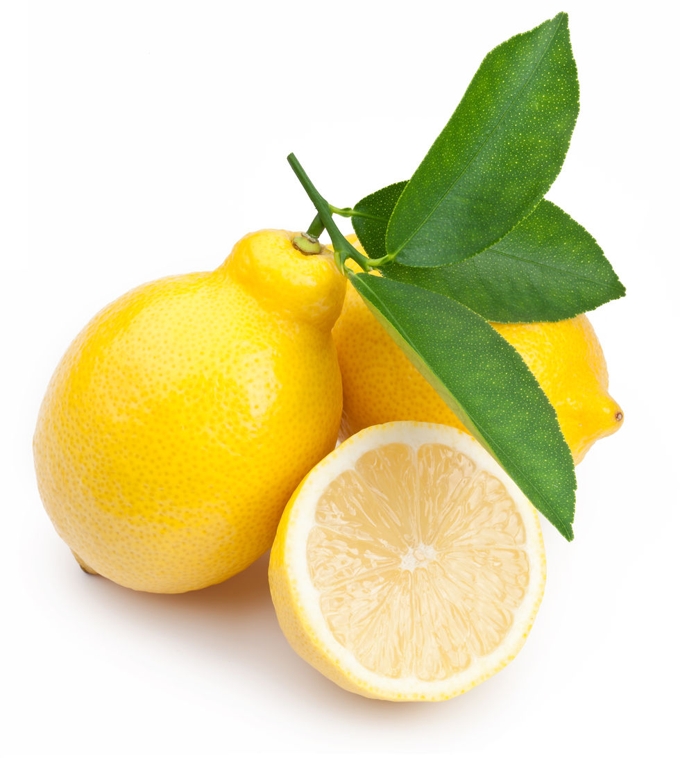 February 4 Gathering