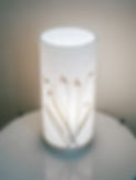 DSCF3193.jpg