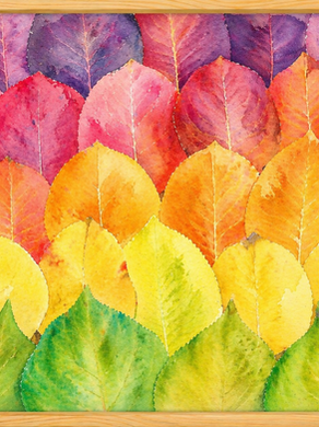 Acceptance and Appreciation of Differences