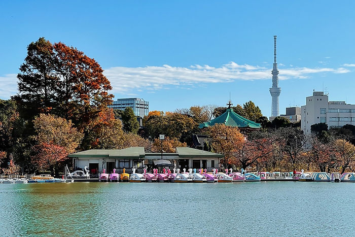shinobazu pond