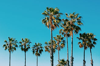 AdobeStock_155668479.jpeg