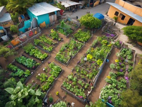 Empower Haitians: Volunteer Opportunities with RCNS-Haiti