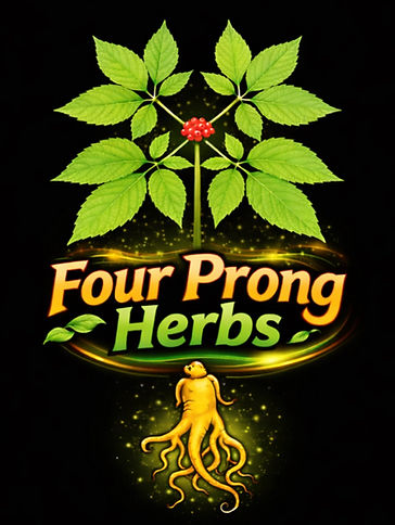 Updated logo pic 1.png