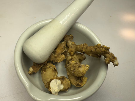 Wild Yam Root at Four Prong Herbs: Carefully Cleaned, Properly Dried, and Prepared with Quality in Mind