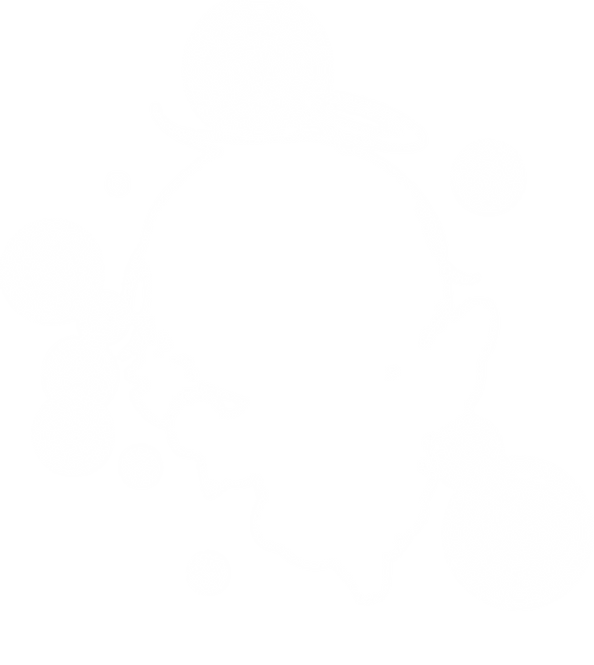 노아SD화이트.png