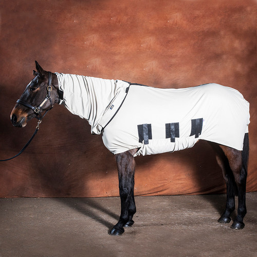 バグボディ | HolisticAnimalWorks 