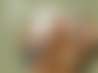 10 Wildlife Activities for kids