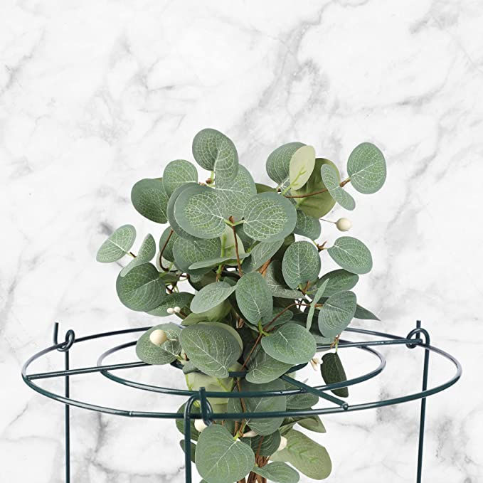 Thumbnail: Peony Cages and Supports Grow Through Plant Supports Ring Hoop with 3 Legs, Pac