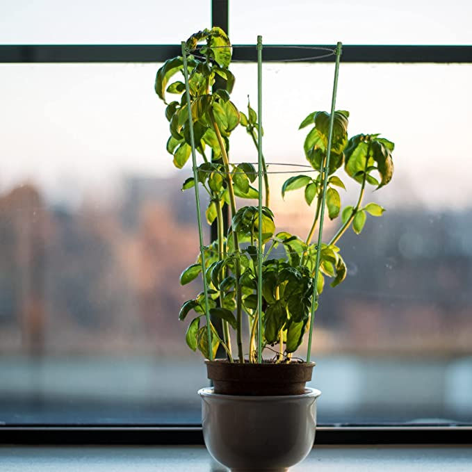 Thumbnail: Rantu 4 Pack Plant Support Cages Tomato Cages and Supports with Adjustable Rings