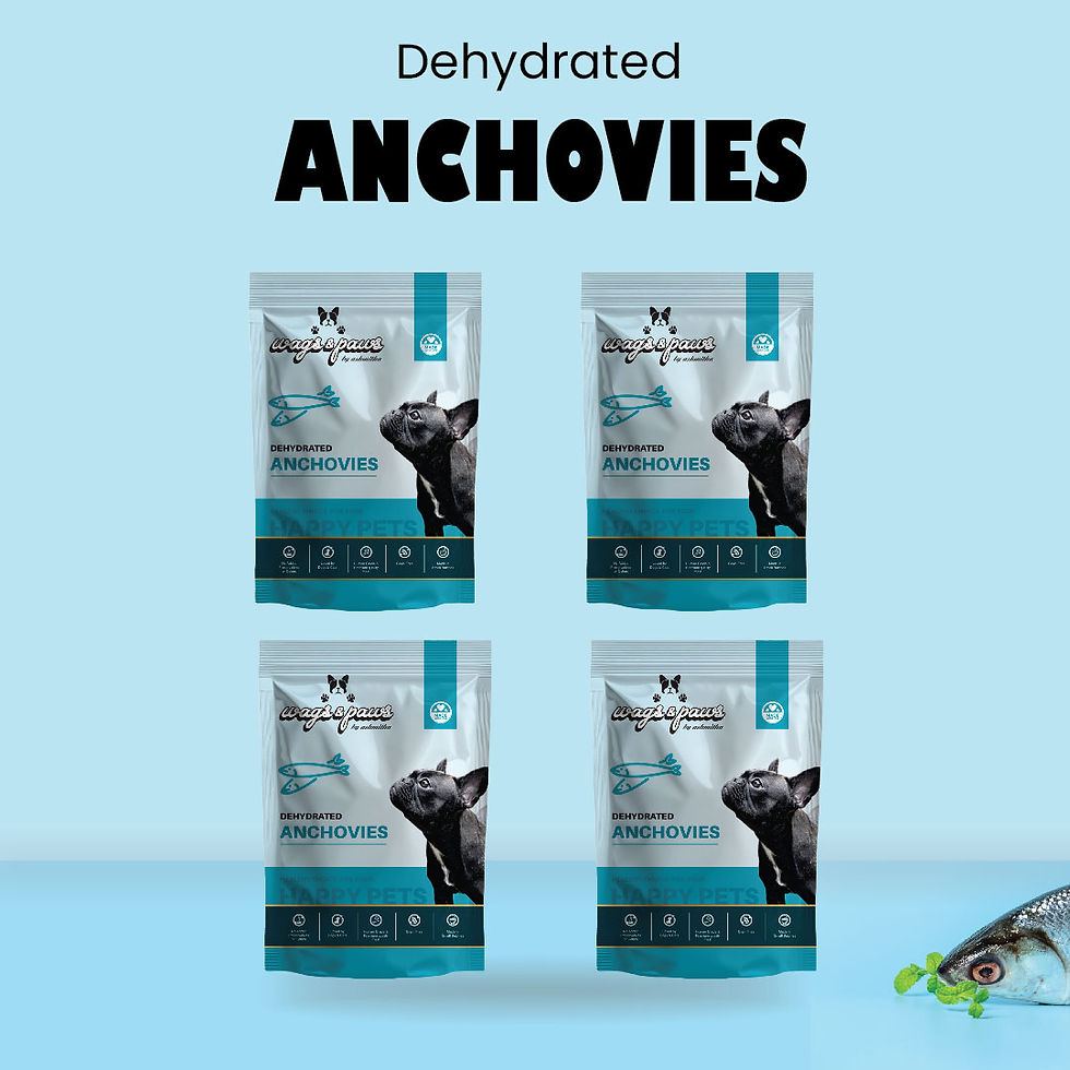 Thumbnail: Anchovies