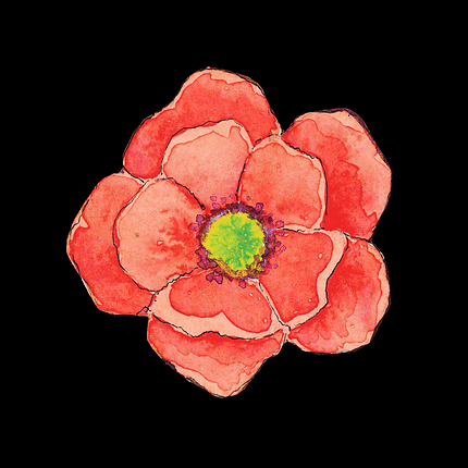 Plant-suits-animation-2.gif