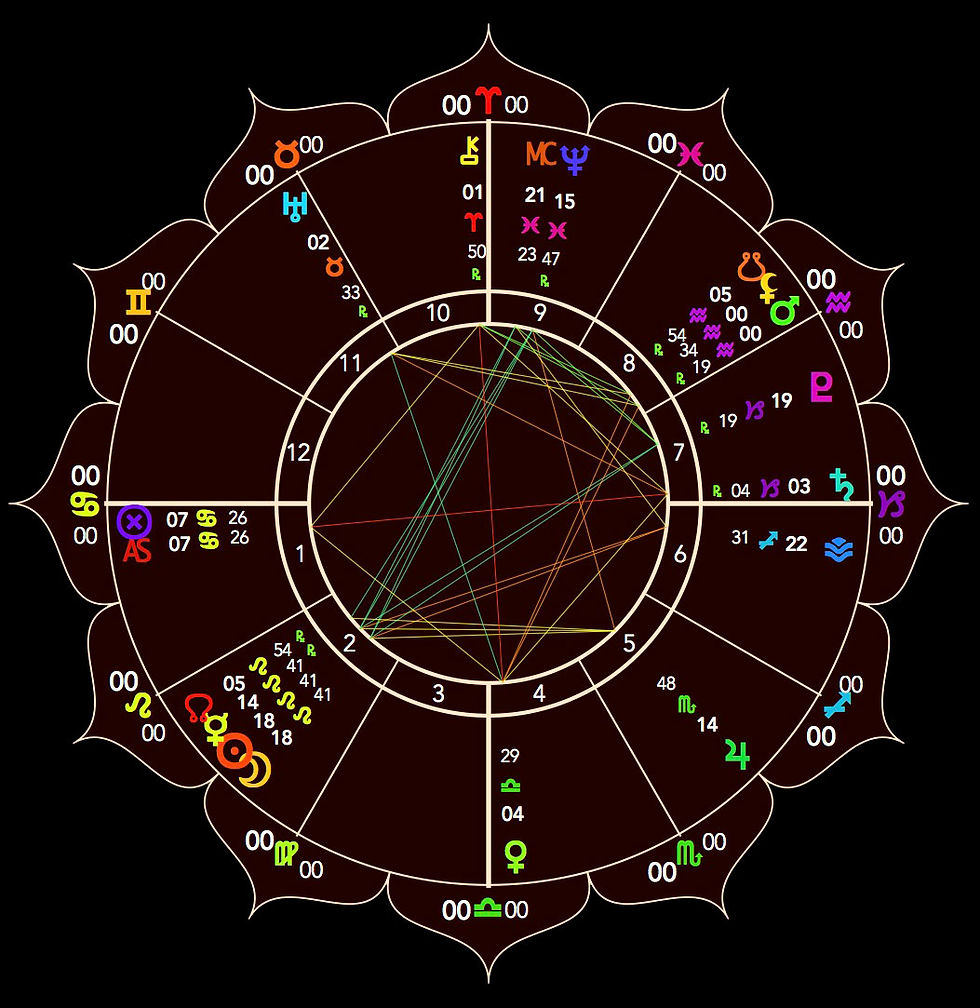 Solar Eclipse in Leo 2018 - Astrology Chart - Energetic Principles