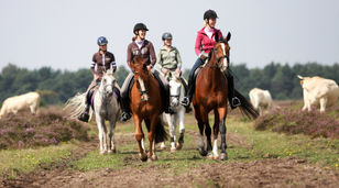 Heerlijk buiten rijden? Enjoy the ride