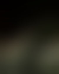 『ツナマヨブルー』