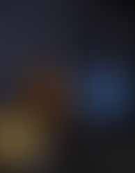 Inspiration - The Dutch Masters of the 17th century