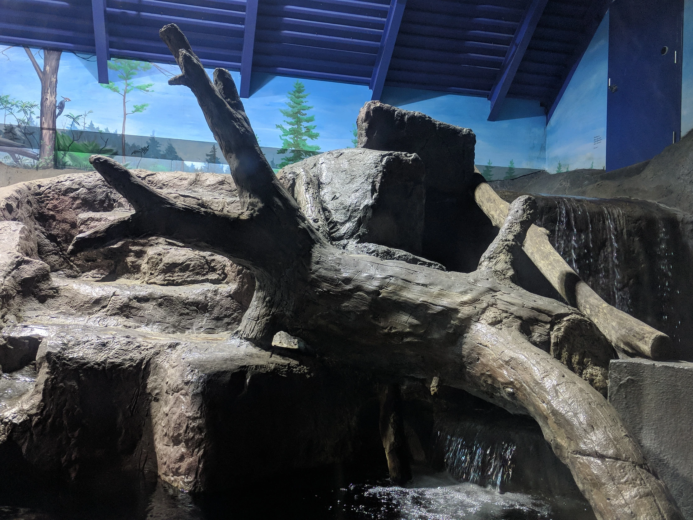 Brockville Aquarium