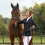Thumbnail: Hy Equestrian Silvia Show Jacket