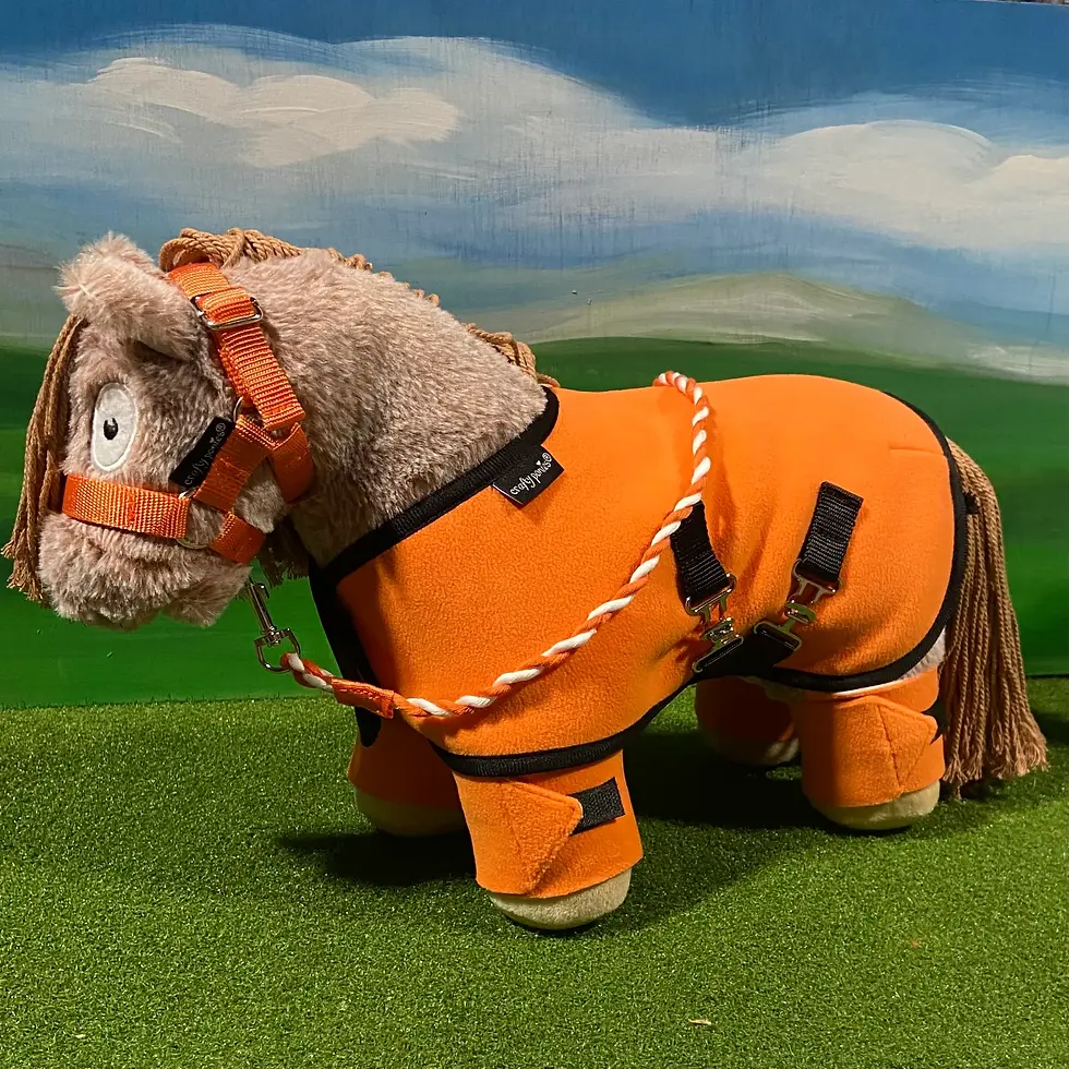 Thumbnail: Crafty Ponies Rug sets