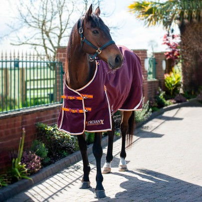 Thumbnail: Gallop Trojan Xtra 100g turnout rug