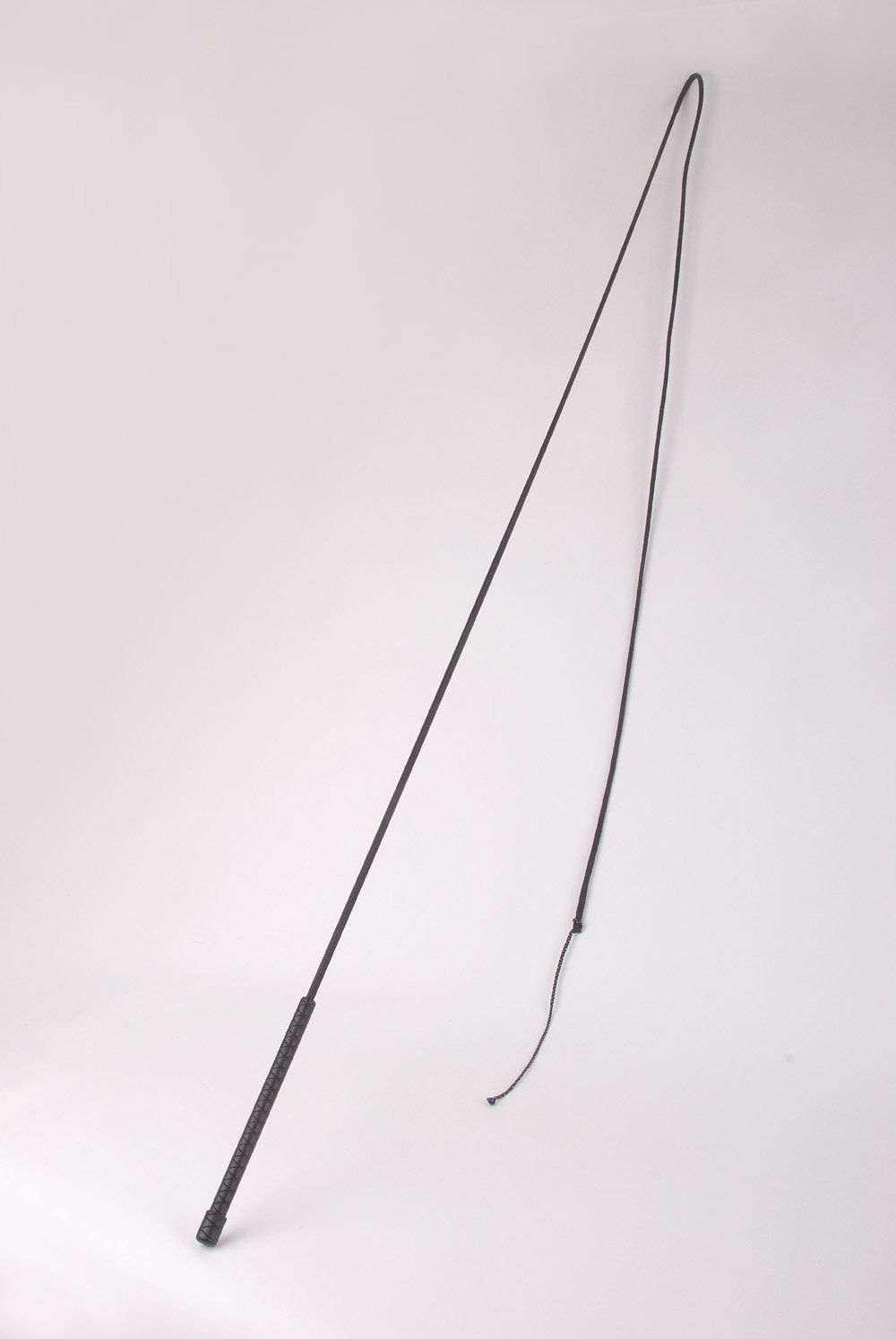 Lunge whip