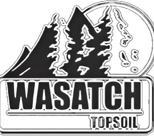 pixelcut-export (2)_edited.png