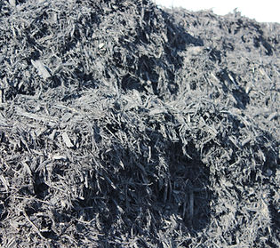 Black Mulch.JPG