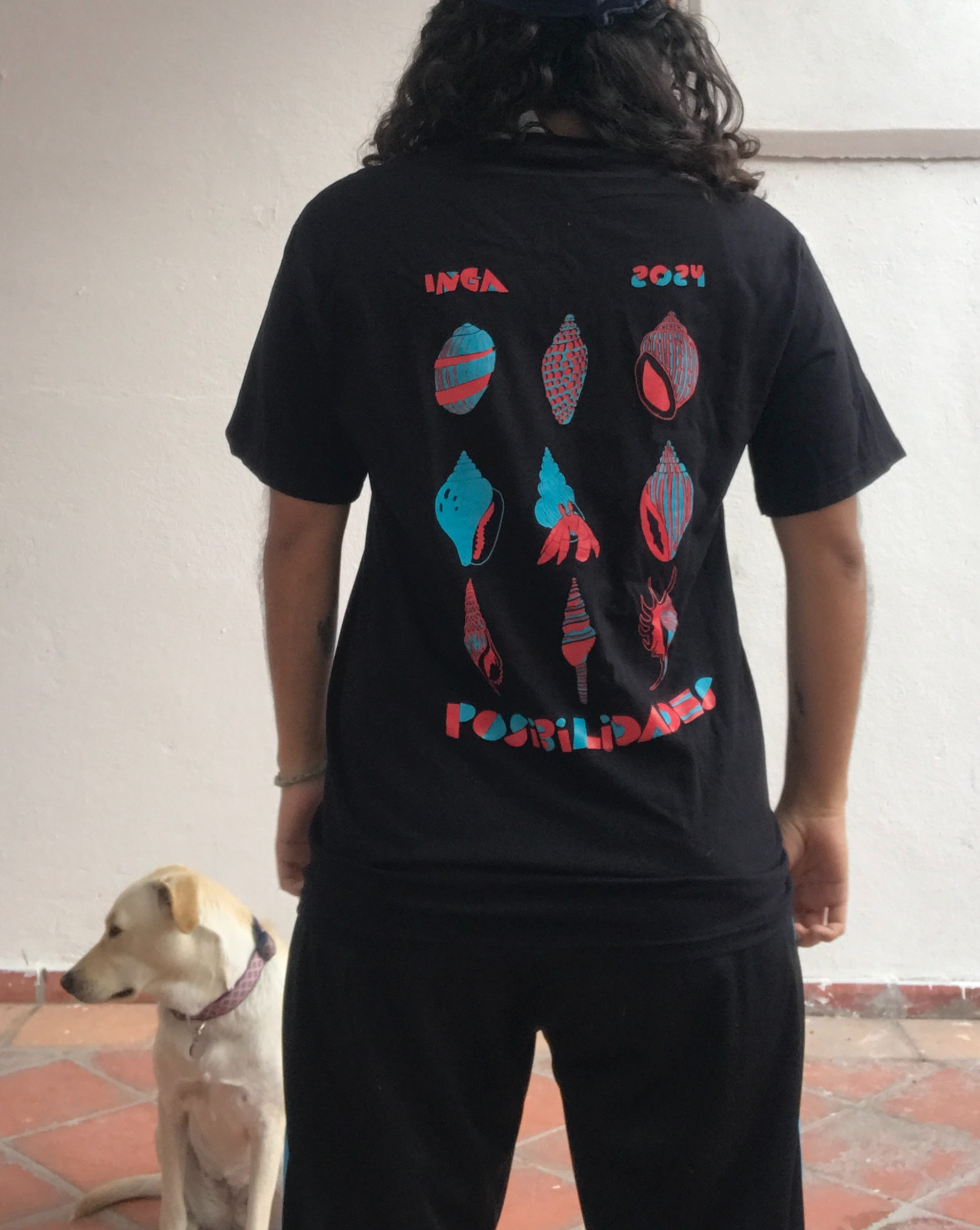 PlayerINGA Posibilidades