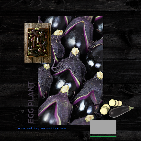 EGG PLANT.png