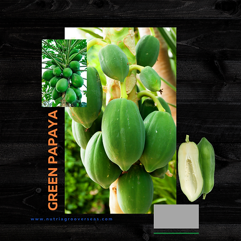 PAPAYA.png