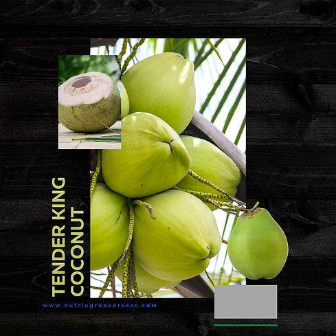COCONUT.png