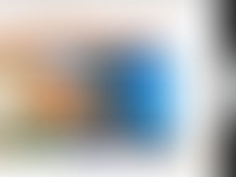 Sem biodiversidade, não há futuro!