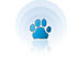 dog walker, dog boarding, pet care, cat care, dog walker Tarrytown, dog walker Riverdale, dog walker westchester, dog walker dobbs ferry, dog walker fort lauderdale, dog walker 33308, dog walker 33316, dog walker las olas, dog walker ft lauderdale