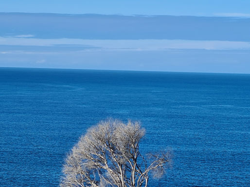 Blue is the newest - 