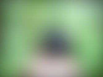 Ornithology - the ancient valour of prehistoric birds and the rise of the Age of Chickens