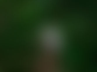 The Chubby Immortals  