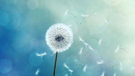 Forgive to release