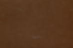 washi_back1.jpg