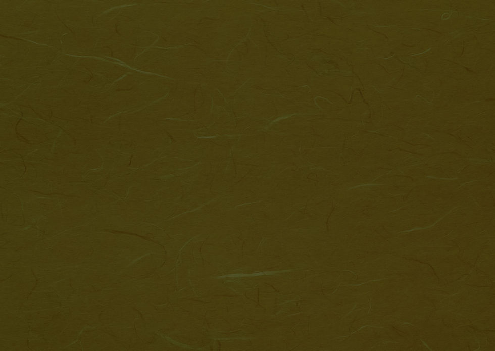 washi_back2.jpg