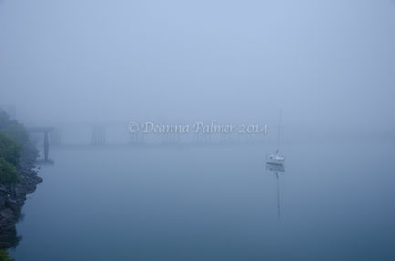 Pioneer River QLD.jpg