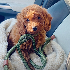 Screen Shot 2025-04-23 at 11.15.12 PM.png