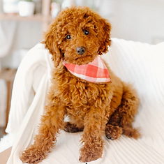 Screen Shot 2025-04-23 at 11.15.31 PM.png