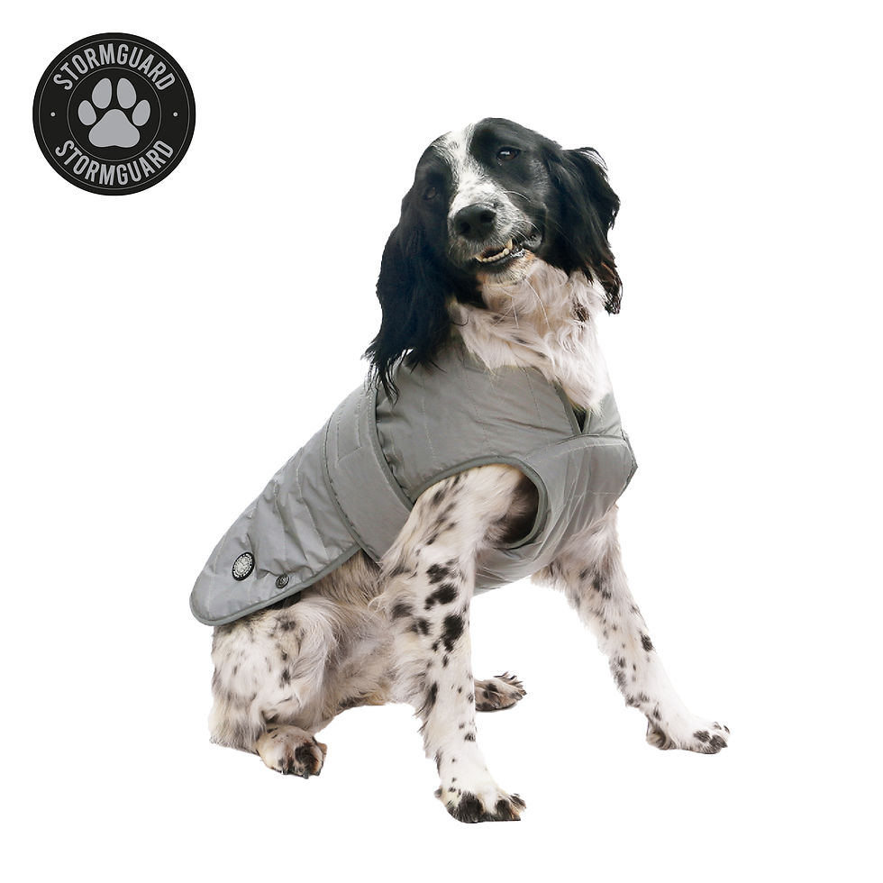 Thumbnail: Ancol Ultimate Reflective Coat