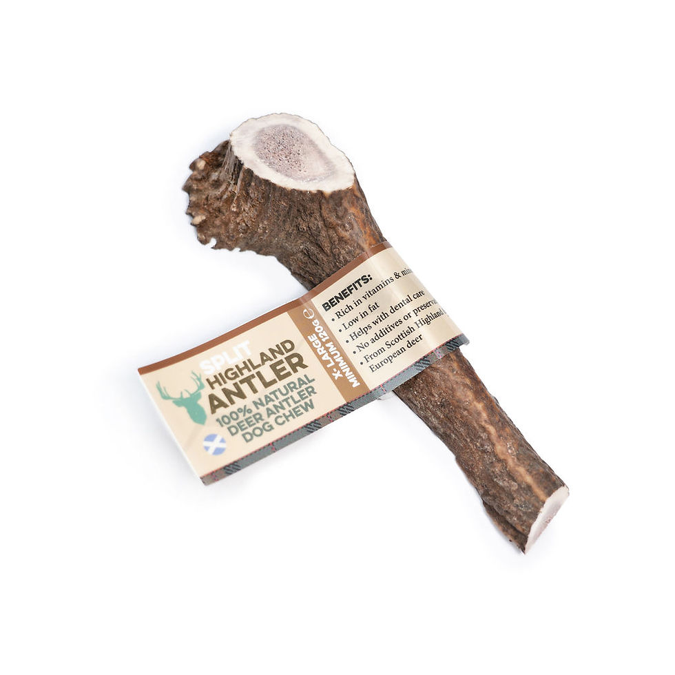 Thumbnail: Split Antlers